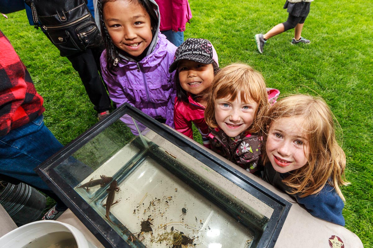 Whistler, BC; July 10, 2016: The Whistler Naturalists are proud to present the 10th annual BioBlitz, a 24-hour race against the clock to count as many species as possible––mammals, birds, plants, frogs, fish, bugs––you name it. Photo: Joern Rohde/www.joernrohde.com